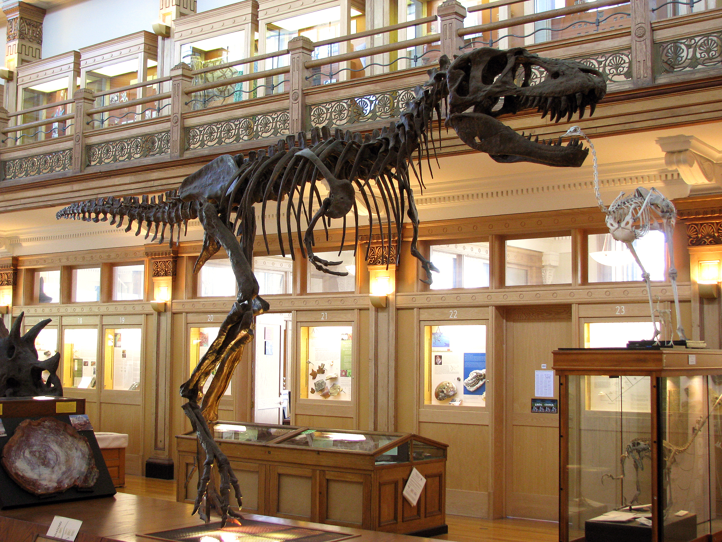 gc3_ima_vie_loisirs_musees_2.jpg